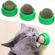 catnip--6-