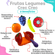 110428-Kit-Comida-Saudavel-Frutas-e-Legumes-Crec-Crec-Kitchen-Toys-TOP-N1-5