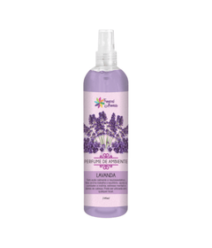 lavanda